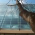 LIFE GALLERY